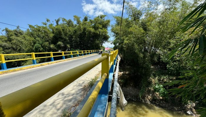 Alwi Podungge Menghimbau Masyarakat Agar Menjaga Ekosistem Sungai