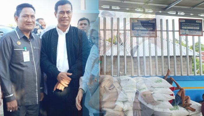 Petani Mengeluh Kelangkaan Pupuk, Dinas Pertanian Boalemo Warning Kios Pupuk Nakal