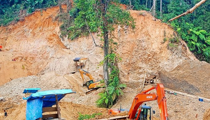 Dugaan Keterlibatan Anggota DPRD Provinsi Gorontalo dalam PETI Pohuwato, Tanda Keterpurukan Penegakan Hukum