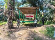 Masalah Agraria di Kabupaten Pasangkayu. Bung Dedi : Perangkat Daerah Kabupaten Pasangkayu kurang Responsif dan diduga terlibat.