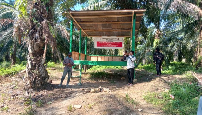 Masalah Agraria di Kabupaten Pasangkayu. Bung Dedi : Perangkat Daerah Kabupaten Pasangkayu kurang Responsif dan diduga terlibat.