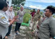 DPRD Kabupaten Pohuwato Dorong Inovasi Pertanian, Kunjungi BSIP Gorontalo