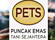 Soal Dugaan “SUAP”, PT. PETS Beri Pernyataan Resmi