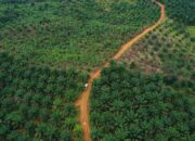 Aktivitas Tambang di Lahan PT LIL Dipertanyakan, DPRD Akui Belum Dalami Secara Khusus