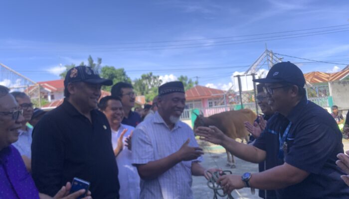 Momentum Perayaan Eid Al-Adha Penuh Makna : Rachmat Gobel Serahkan 50 Ekor Sapi Kurban di Gorontalo