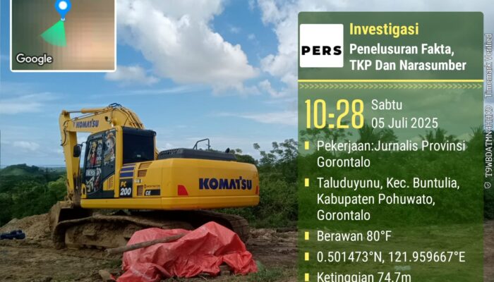 Dari Hutan yang Gundul ke Institusi yang Mandul