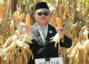 Semangat Kemerdekaan dan Panen Jagung Warnai HUT RI ke-80 di Pohuwato