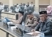 Dukung Penetapan RTRW, FD: Tegaskan Kawasan Tambang Harus Selektif dan Berkelanjutan