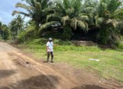 Jalan Umum Rusak, Camat Taluditi Soroti Perusahaan Sawit Yang Hanya Rawat Jalan Sendiri
