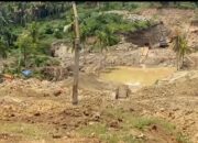 PETI Sambati: Antara Janji Kapolres dan Hukum yang Kehilangan Giginya