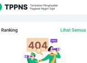 TPP Berbasis Aplikasi Mulai Diterapkan, Kinerja ASN Terekam Real Time