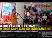 Serahkan 150 Sapi Dan 50 Kambing Kurban, Walikota Bodewin : Perbedaan Kasi Kuat Katong Pung Ikatan