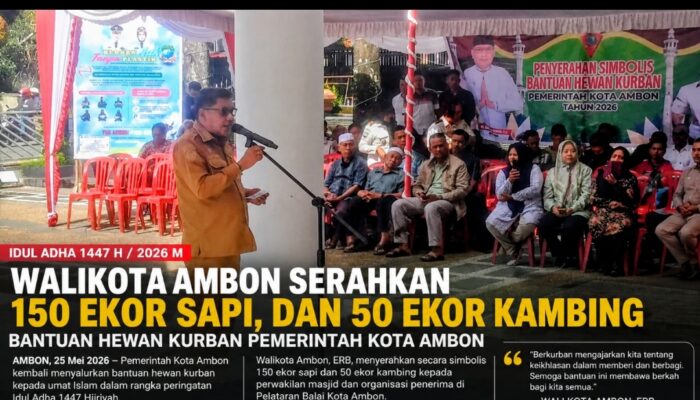 Serahkan 150 Sapi Dan 50 Kambing Kurban, Walikota Bodewin : Perbedaan Kasi Kuat Katong Pung Ikatan
