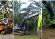 Dugaan Bekingan Oknum Anggota, PETI Saritani Merajalela