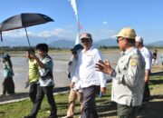Bupati Rum Pagau Dukung GERTAM Padi dengan Metode Pertanian Modern PM-AAS